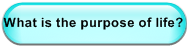 What is the purpose of life?